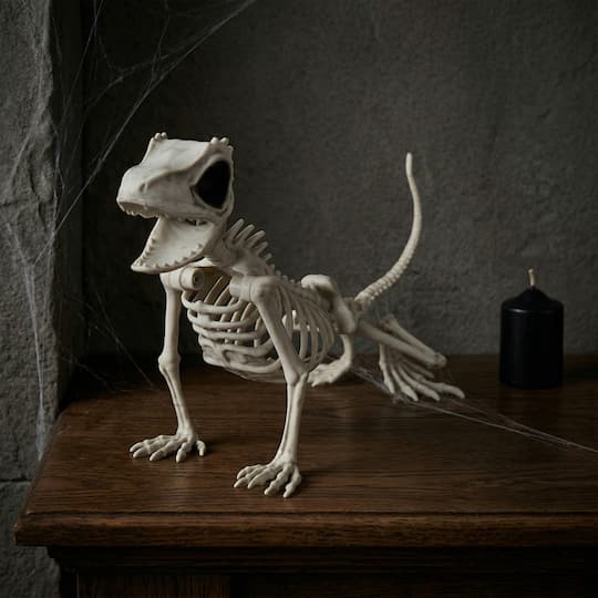 9" Lizard Skeleton by Ashland®